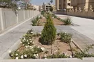 اجرای پایش منطقه ای فضای سبز شهری یزد