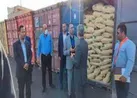 ترخیص محموله مواد اولیه تولید آنتی بیوتیک در هرمزگان