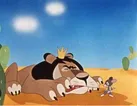 شیر و موش