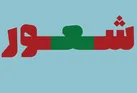 شور حسینی همراه با شعور حسینی!