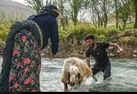 آغاز کوچ پاییزه عشایر فارس؛ جابه‌جایی ۲۷هزار خانوار