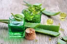 ژل داخل این برگ منبع غنی از ویتامین A، C، E است