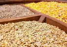 توزیع بیش از ۵۴ هزار تن نهاده دامی در کرمانشاه