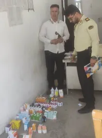 رئیس اداره دامپزشکی شهرستان هرسین از کشف و ضبط ۱۸ قلم داروی دامی خارج از شبکه توزیع و فاقد مجوز در این شهرستان خبر داد.