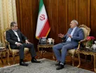 دیدار سفیر جمهوری اسلامی ایران در پاکستان با عراقچی