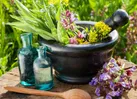برخی از باور‌های نادرست در مورد گیاهان دارویی، طب سنتی و مکمل‌ها