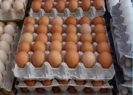 ضبط محموله ۲۰ تُنی تخم‌مرغ قاچاق در مرز شلمچه