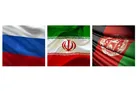 رییس مجلس دومای روسیه و نخست وزیر الجزایر وارد تهران شدند