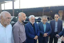 ظرفیت تولید ۵۰ هزارتن گوشت قرمز در لرستان وجود دارد