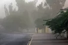 هشدار هواشناسی برای تهران | وزش باد شدید و خطر شکستن درختان