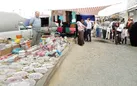 گنج پنهان در مرزها
