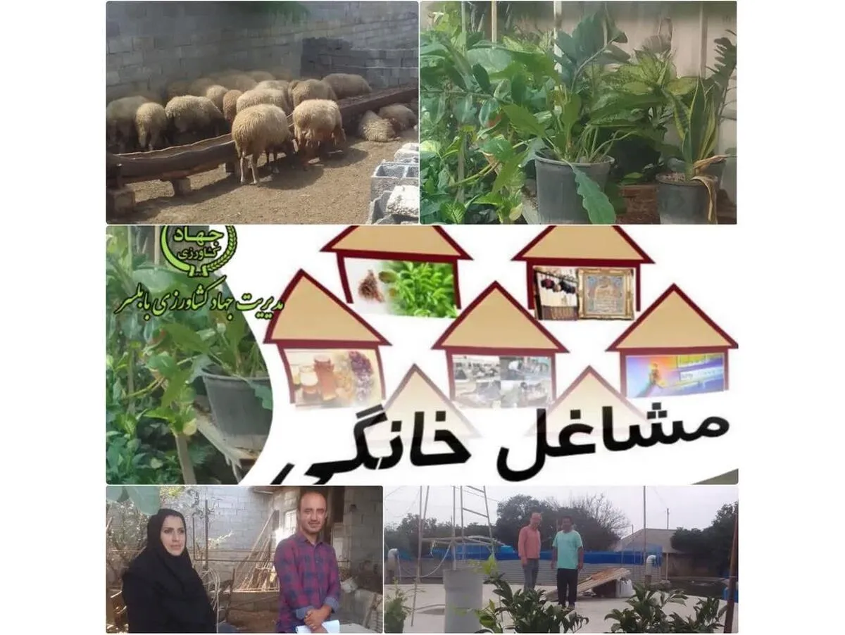 16 میلیارد تسهیلات مشاغل خانگی در بابلسر پرداخت شد