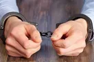 استرداد متهم ۲۰ میلیارد ریالی به ایران