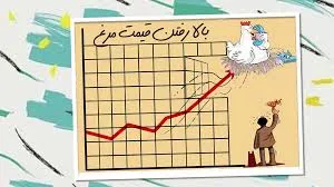 عرضه مرغ با قیمتی بالاتر از قیمت مصوب در کرمانشاه/بی تدبیری دامن مردم را می گیرد