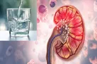 نوشیدن آب برای جلوگیری از سنگ کلیه کافی نیست