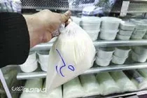 شیوع ‌دو برابری تب مالت در استان نسبت به میانگین کشوری