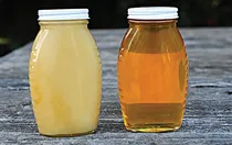 دانه‌دانه مثل شکرک