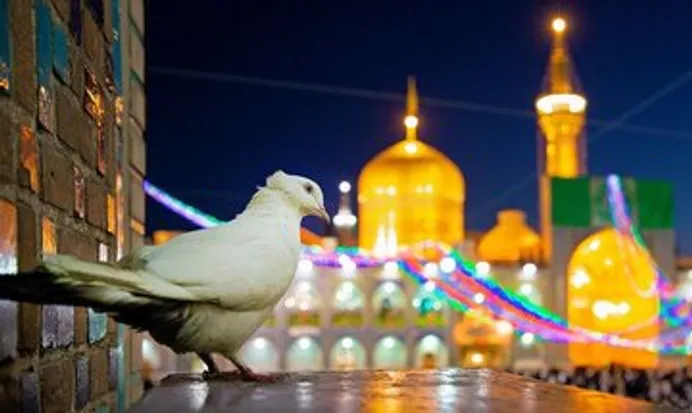 ببینید | «رضا جانم» شنیدنی شد؛ نغمه‌ای برای دلدادگان امام هشتم(ع)