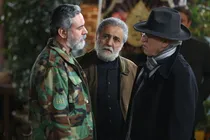 صدای درختانی که بی‌صدا می‌افتند