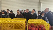 منحصربه‌فرد خواندن ساوه به عنوان یکی از شهرستان‌های تاریخی در مسیر جاده ابریشم