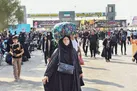 اربعین دلدادگی بدون مرز