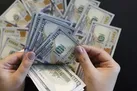 عرضه ۲۸۹ میلیون دلار در سامانه نیما