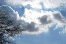 کاهش دمای هوای تهران طی هفته جاری