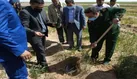 بسیج پای کار در درختکاری