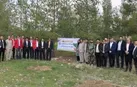 ۳۰۰ اصله نهال مثمر و غیر مثمر در پالایشگاه گاز ایلام کاشت شد