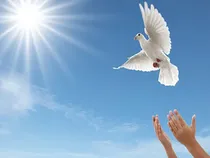 ۲۶ زندانی البرزی به آغوش خانواده بازگشتند