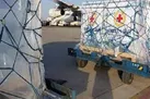 دوازدهمین محموله واکسن کرونا وارد کشور شد