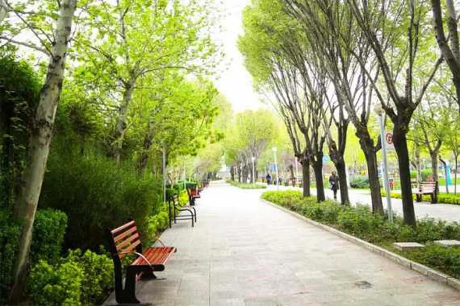 حفظ فضای سبز ۵۷۰۰ هکتاری اصفهان زیر فشار هم‌زمان خشکسالی و تغییر اقلیم