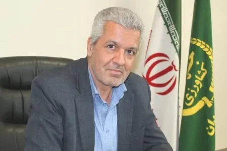 جوجه‌ریزی ۱۴ میلیون قطعه‌ای در مرغداری‌های همدان