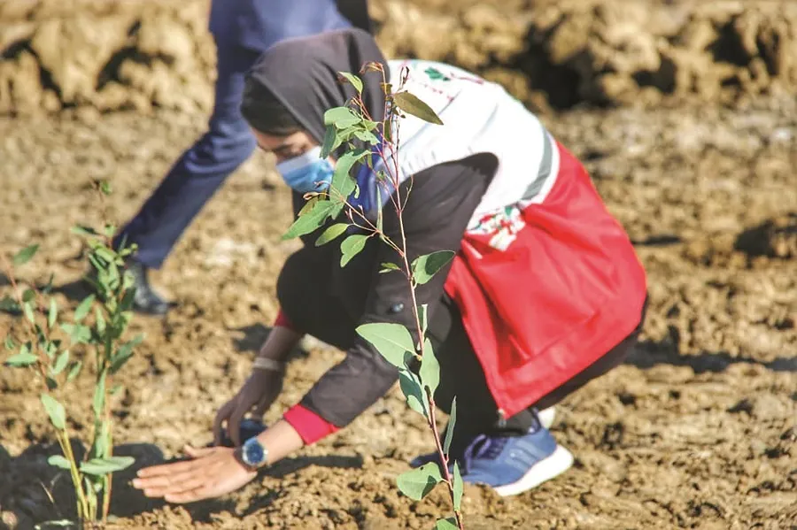 ایران سبزتر با پویش « ایران سبز»