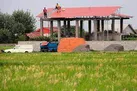 برخورد قضایی با تغییر کاربری اراضی کشاورزی در شهرستان اشکذر
