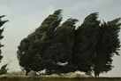 بارش برف و باران، وزش باد شدید و کاهش شدید دما در کشور