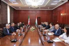 تقدیر عراقچی از موضع قاطع تاجیکستان در محکومیت تجاوزات به ایران
