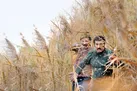 نفوذی‌ها مشغول کارند