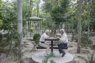 پیری از پا شروع می شود/ دو هفته بی تحرکی معادل ۱۰ سال پیری