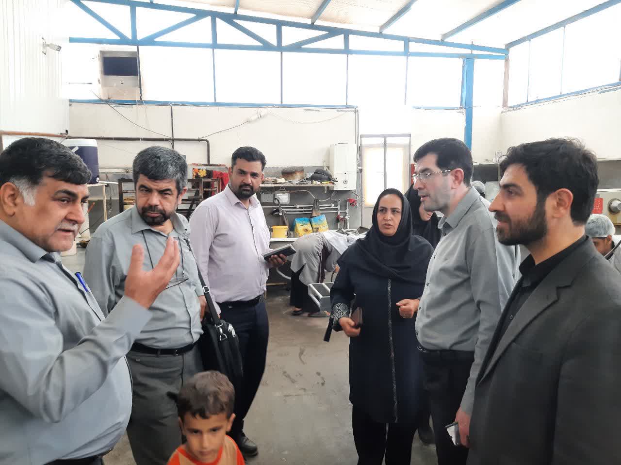 پایش میدانی ۶۰ واحد شهرکهای صنعتی خراسان رضوی با استقرار کلینیک کسب‌وکار سیار