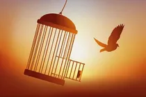 آزادی موقت برای ۲ قاتل بعد از ۲۵ سال بلاتکلیفی در زندان