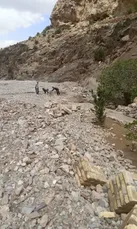 وجود 2هزار و ۷۸۶ کیلومتر رودخانه در استان یزد