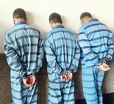 مهاجرت به کانادا، ترفند باند کلاهبرداری