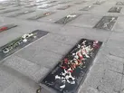 برادرانم نگذارید سنگر من خالی بماند