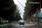هشدار سیلاب‌ و برخورد صاعقه در ۸ استان