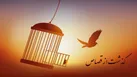رضایت اولیای دم چند ساعت قبل از اعدام