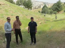 پیشگیری از آتش‌سوزی در پارک جنگلی سراب قنبر کرمانشاه با پاکسازی علف‌های هرز و خشک
