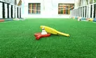 رشد ۹۰ درصدی سرانه فضای ورزشی مدارس استان کرمان