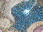 کشف کارگاه غیرمجاز تولید فشنگ سلاح شکاری در شادگان