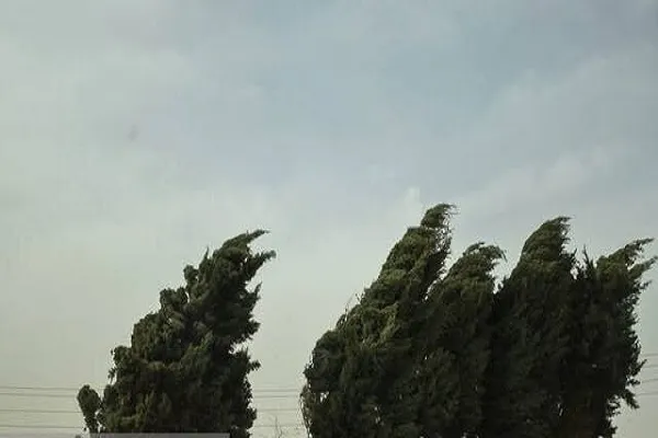وزش باد نسبتا شدید در شمال کشور/ کاهش دما تا ۱۰ درجه